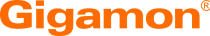 Gigamon is a leading provider of network visibility and analytics solutions
